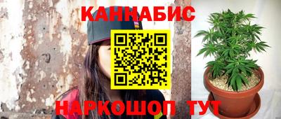 PSILOCYBIN Малгобек